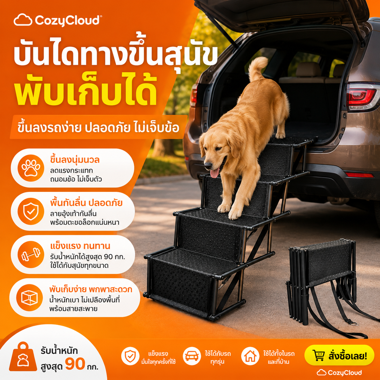 CozyCloud บันไดสุนัขพับเก็บได้
