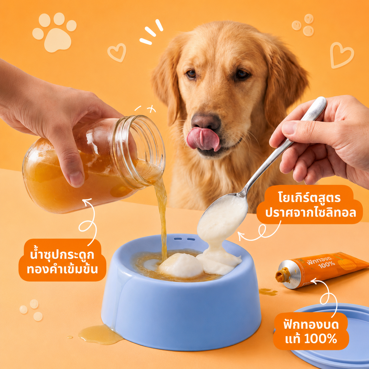 CozyCloud ชามเลียบำบัดสัตว์เลี้ยง