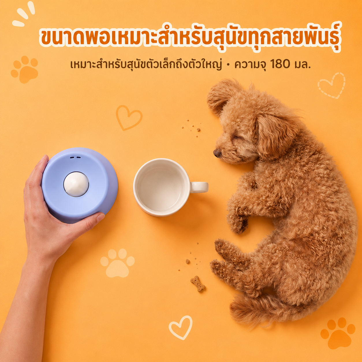 CozyCloud ชามเลียบำบัดสัตว์เลี้ยง