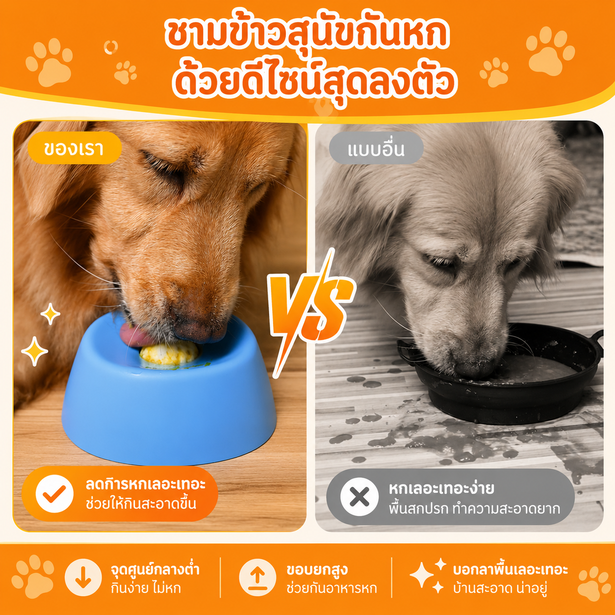 CozyCloud ชามเลียบำบัดสัตว์เลี้ยง