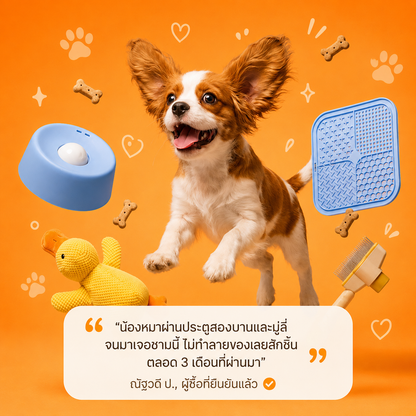 CozyCloud ชามเลียบำบัดสัตว์เลี้ยง