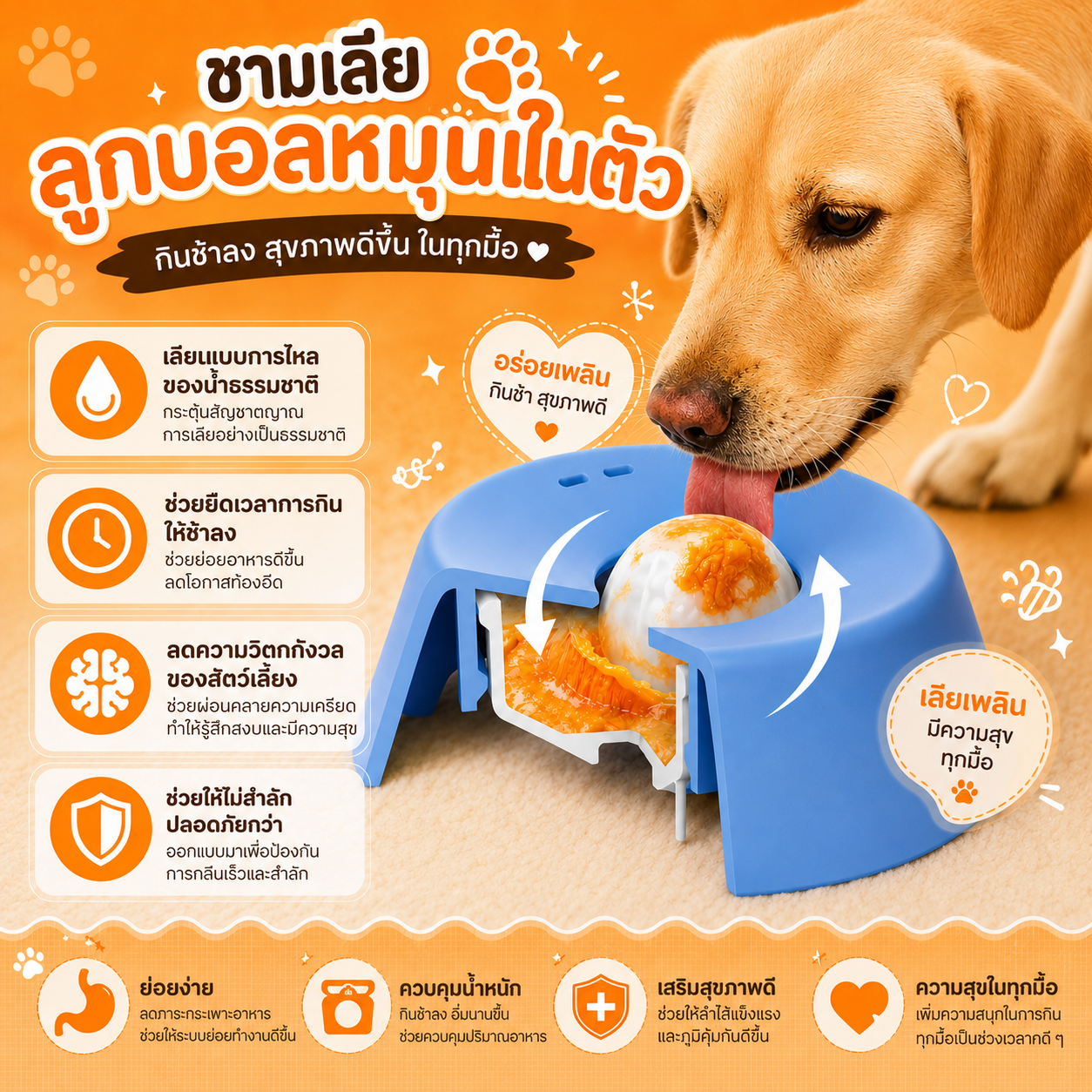 CozyCloud ชามเลียบำบัดสัตว์เลี้ยง