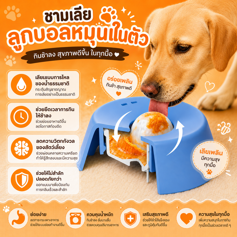 CozyCloud ชามเลียบำบัดสัตว์เลี้ยง